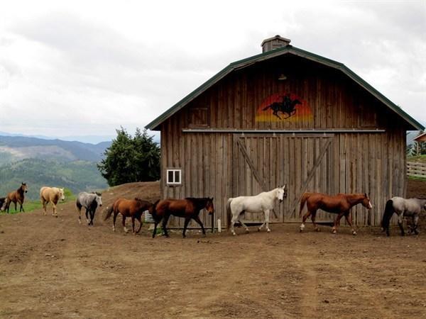 Bull Hill Guest Ranch Hotel Marble Kültér fotó